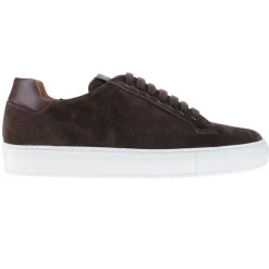 D571-T6 FLORENCE TESTA