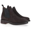 119-T04 ANTE BROWN
